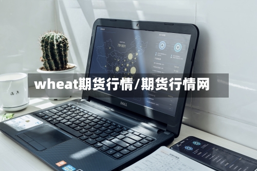 wheat期货行情/期货行情网-第3张图片