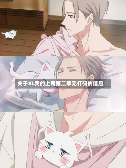 关于XL我的上司第二季无打码的信息-第2张图片