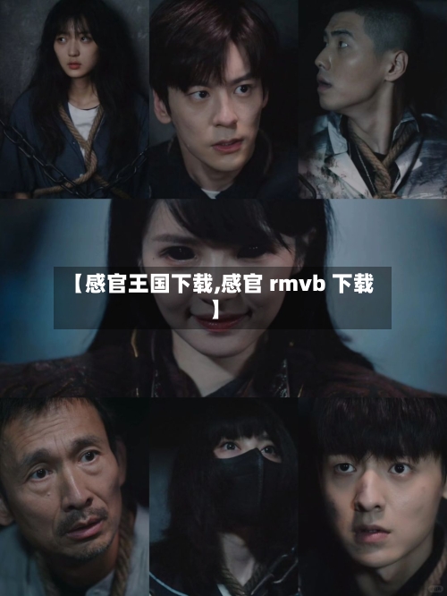 【感官王国下载,感官 rmvb 下载】-第3张图片