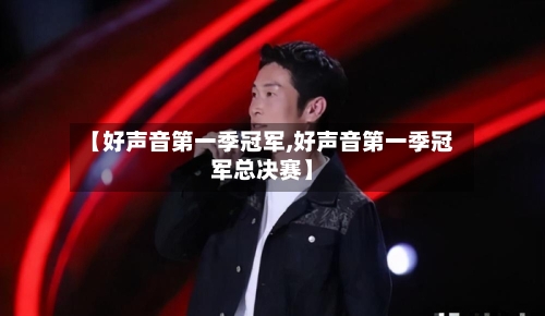 【好声音第一季冠军,好声音第一季冠军总决赛】-第3张图片