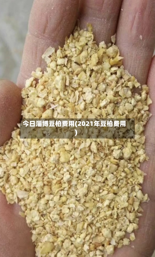 今日淄博豆柏费用(2021年豆柏费用)
