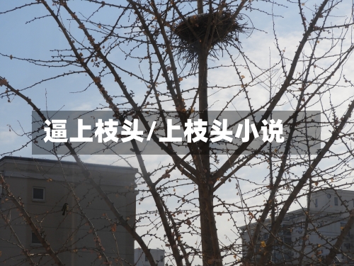 逼上枝头/上枝头小说-第2张图片