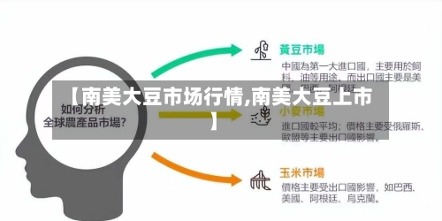 【南美大豆市场行情,南美大豆上市】