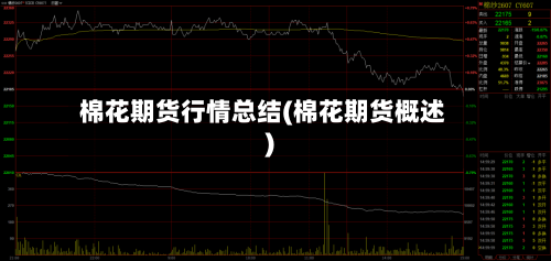 棉花期货行情总结(棉花期货概述)-第3张图片