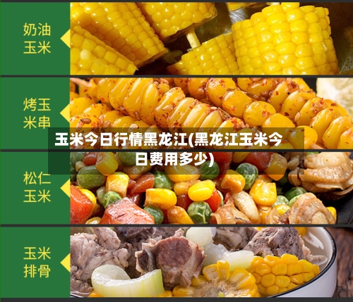 玉米今日行情黑龙江(黑龙江玉米今日费用多少)-第3张图片