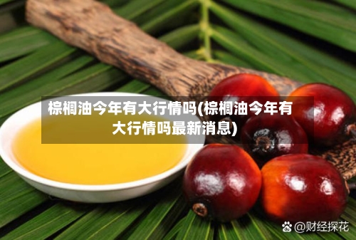 棕榈油今年有大行情吗(棕榈油今年有大行情吗最新消息)-第2张图片