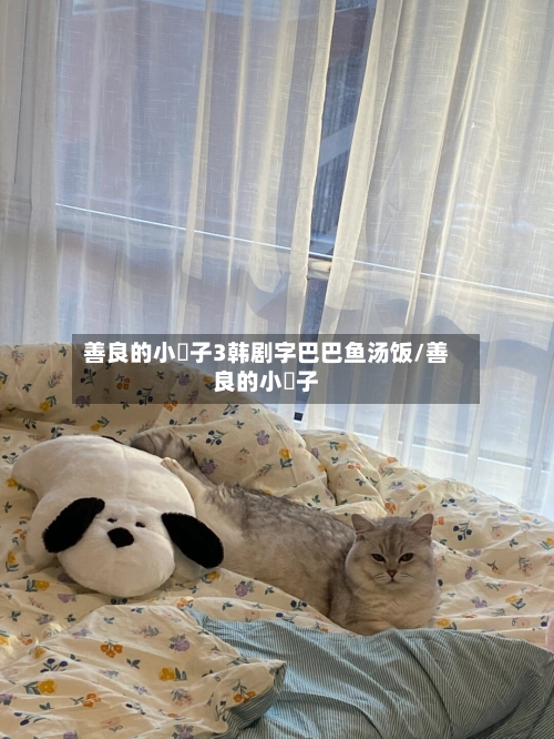 善良的小峓子3韩剧字巴巴鱼汤饭/善良的小嫸子-第3张图片