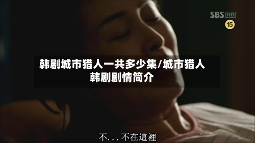 韩剧城市猎人一共多少集/城市猎人韩剧剧情简介-第2张图片