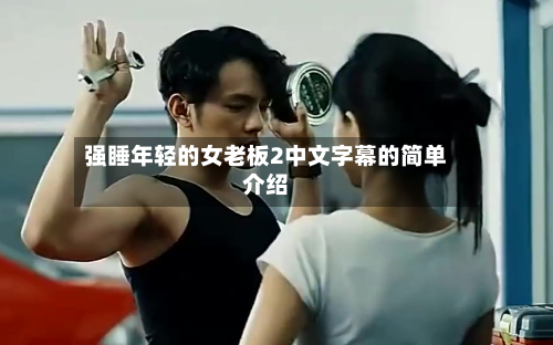强睡年轻的女老板2中文字幕的简单介绍-第2张图片
