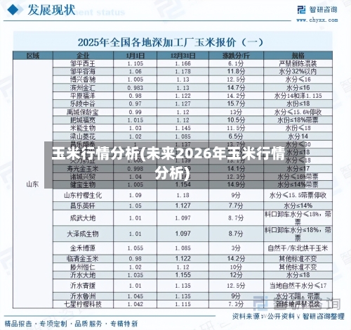 玉米行情分析(未来2026年玉米行情分析)-第3张图片