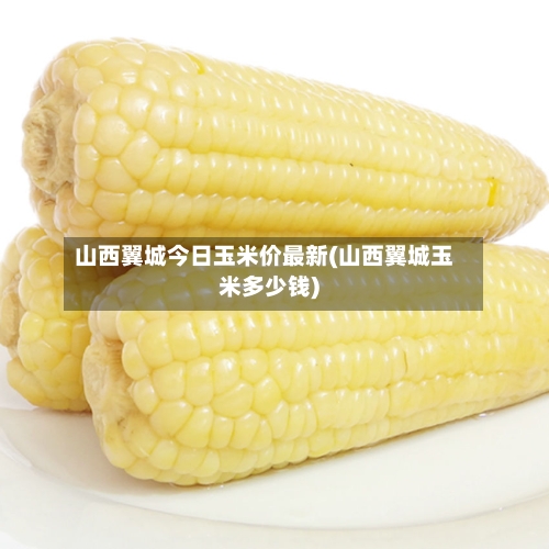 山西翼城今日玉米价最新(山西翼城玉米多少钱)