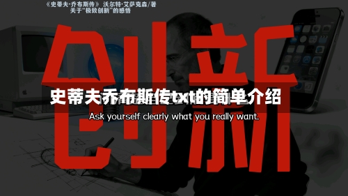史蒂夫乔布斯传txt的简单介绍