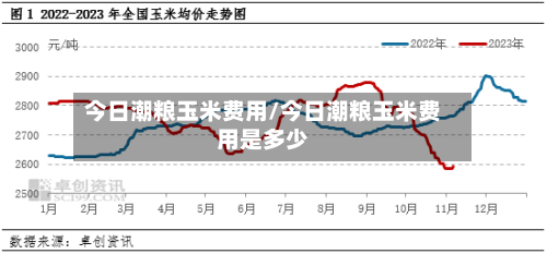 今日潮粮玉米费用/今日潮粮玉米费用是多少-第2张图片