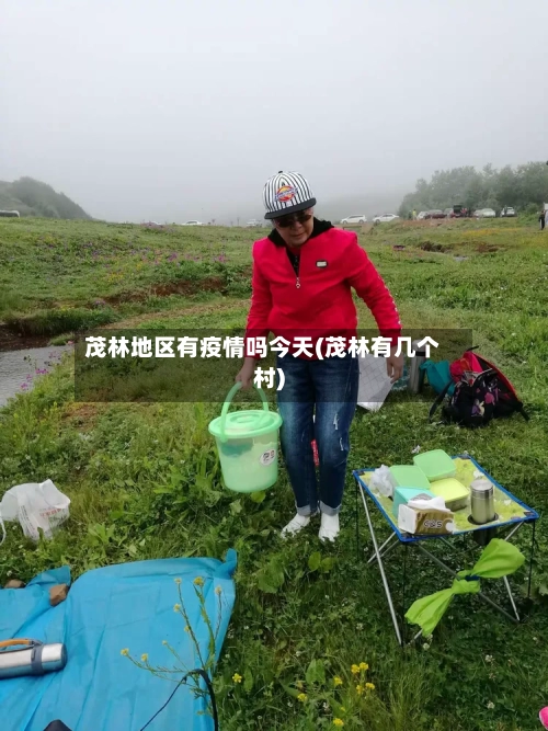 茂林地区有疫情吗今天(茂林有几个村)-第2张图片