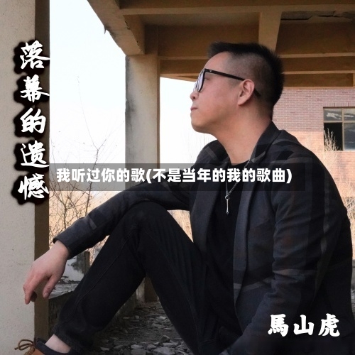 我听过你的歌(不是当年的我的歌曲)-第2张图片