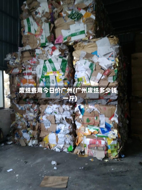 废纸费用今日价广州(广州废纸多少钱一斤)-第3张图片