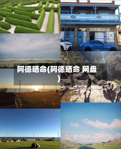 阿德晒命(阿德晒命 网盘)