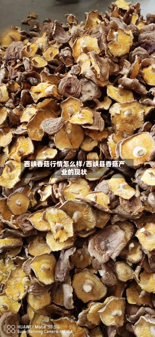 西峡香菇行情怎么样/西峡县香菇产业的现状