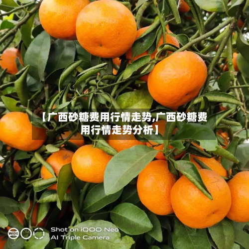 【广西砂糖费用行情走势,广西砂糖费用行情走势分析】-第2张图片