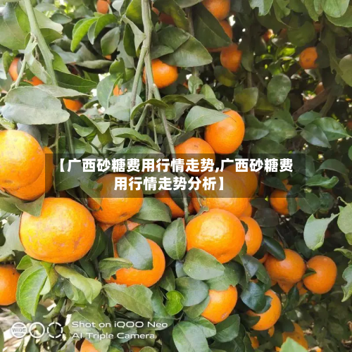 【广西砂糖费用行情走势,广西砂糖费用行情走势分析】-第3张图片