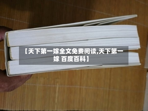 【天下第一嫁全文免费阅读,天下第一嫁 百度百科】