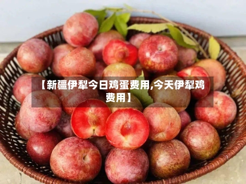 【新疆伊犁今日鸡蛋费用,今天伊犁鸡费用】