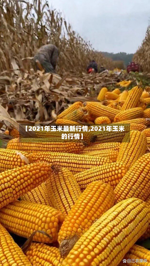 【2021年玉米最新行情,2021年玉米的行情】