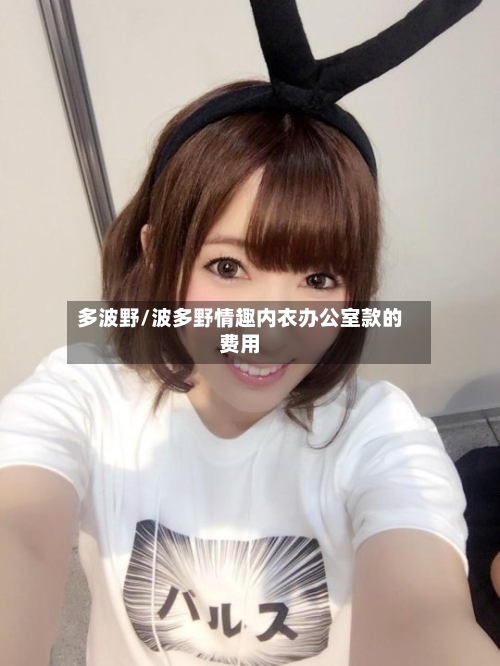 多波野/波多野情趣内衣办公室款的费用-第3张图片