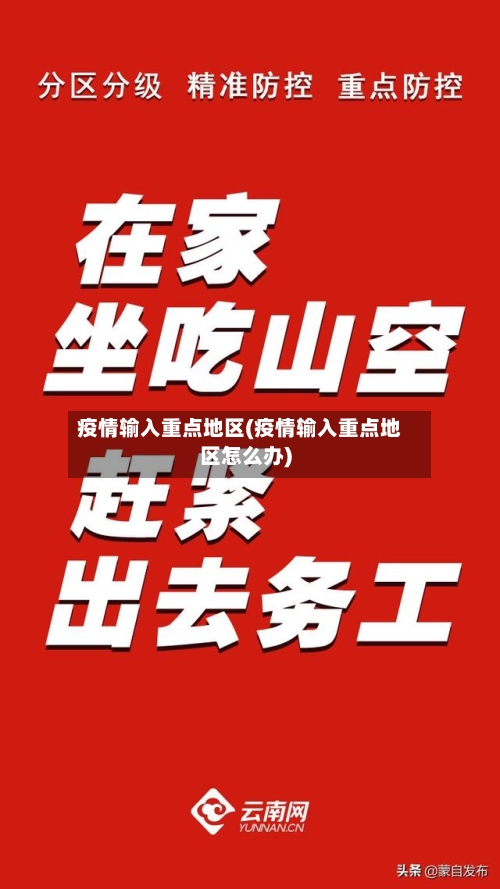 疫情输入重点地区(疫情输入重点地区怎么办)
