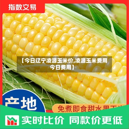 【今日辽宁凌源玉米价,凌源玉米费用今日费用】