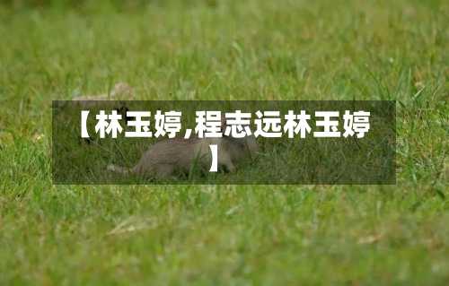 【林玉婷,程志远林玉婷】-第3张图片