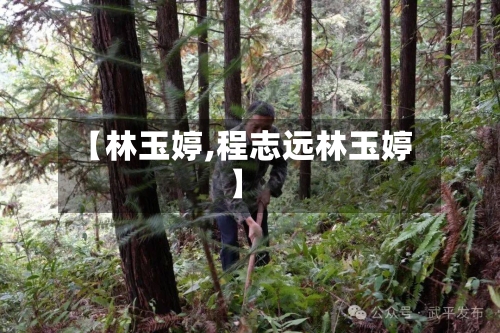 【林玉婷,程志远林玉婷】