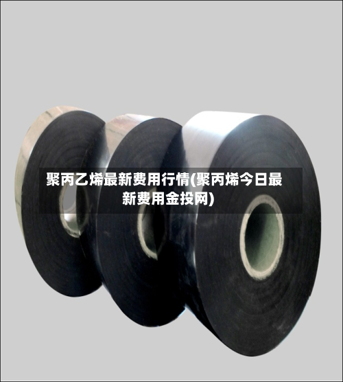 聚丙乙烯最新费用行情(聚丙烯今日最新费用金投网)