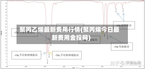 聚丙乙烯最新费用行情(聚丙烯今日最新费用金投网)-第3张图片