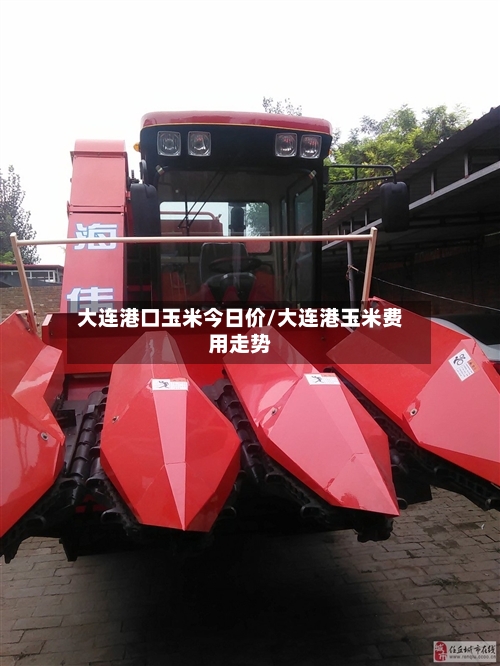 大连港口玉米今日价/大连港玉米费用走势