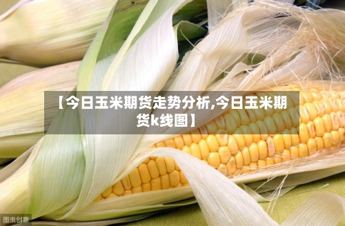 【今日玉米期货走势分析,今日玉米期货k线图】