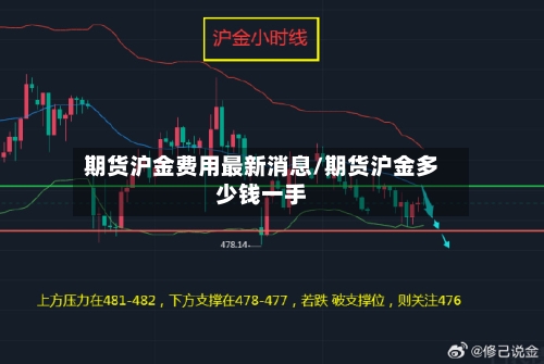 期货沪金费用最新消息/期货沪金多少钱一手