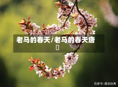 老马的春天/老马的春天唐玥-第2张图片