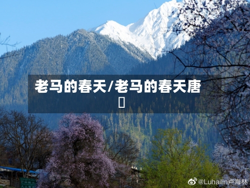 老马的春天/老马的春天唐玥-第3张图片
