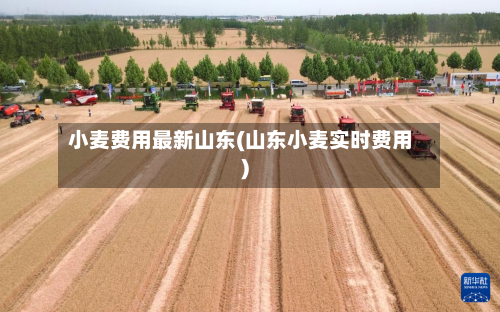 小麦费用最新山东(山东小麦实时费用)-第2张图片