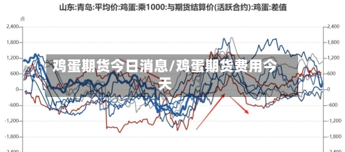 鸡蛋期货今日消息/鸡蛋期货费用今天-第2张图片