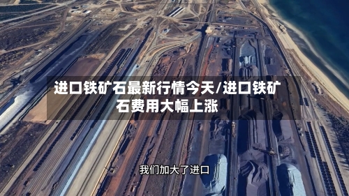 进口铁矿石最新行情今天/进口铁矿石费用大幅上涨-第2张图片