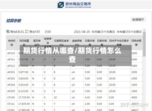 期货行情从哪查/期货行情怎么查-第3张图片