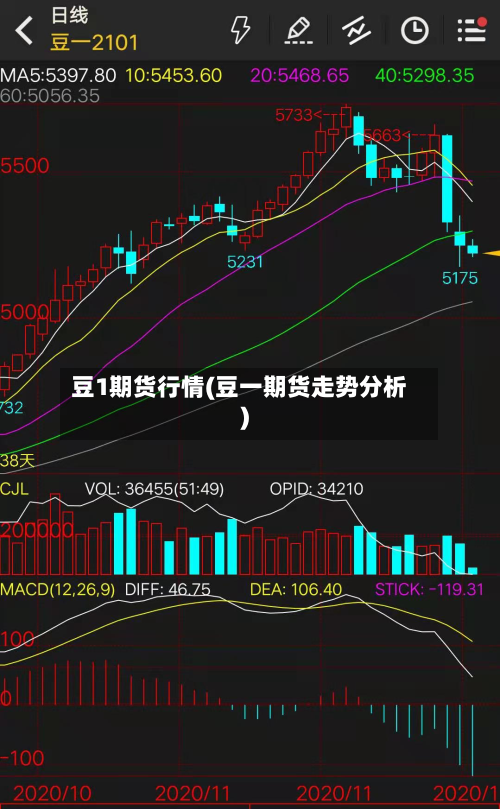 豆1期货行情(豆一期货走势分析)-第3张图片