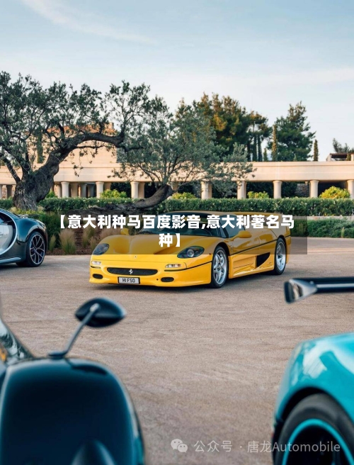 【意大利种马百度影音,意大利著名马种】