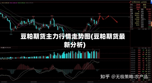 豆粕期货主力行情走势图(豆粕期货最新分析)-第2张图片