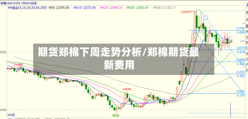 期货郑棉下周走势分析/郑棉期货最新费用-第3张图片