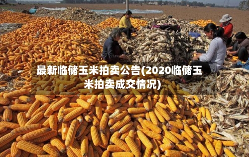 最新临储玉米拍卖公告(2020临储玉米拍卖成交情况)-第2张图片