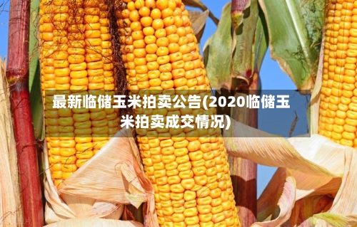 最新临储玉米拍卖公告(2020临储玉米拍卖成交情况)