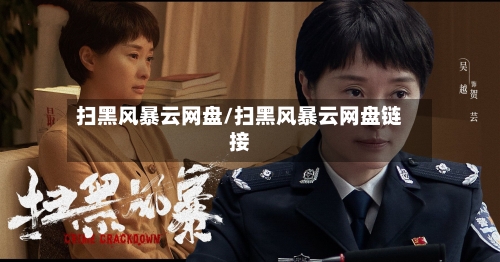 扫黑风暴云网盘/扫黑风暴云网盘链接